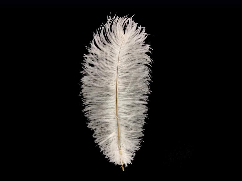 10 Pieces - 8-10" Bleached Off White Ostrich Dyed Drabs Feathers