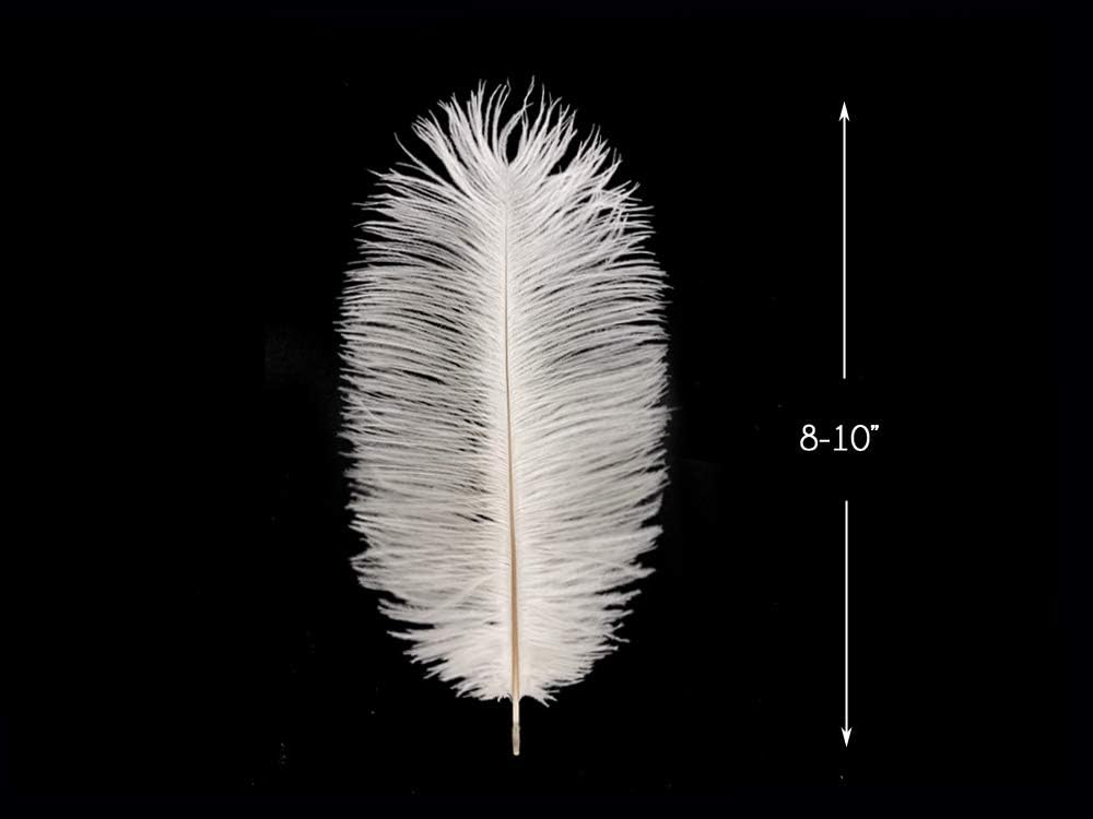 100 Pieces - 11-13" Off White Ostrich Drabs Wholesale Body Feathers (Bulk)