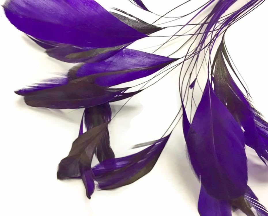 1 Dozen - Eggplant Stripped Rooster Coque Tail Feathers