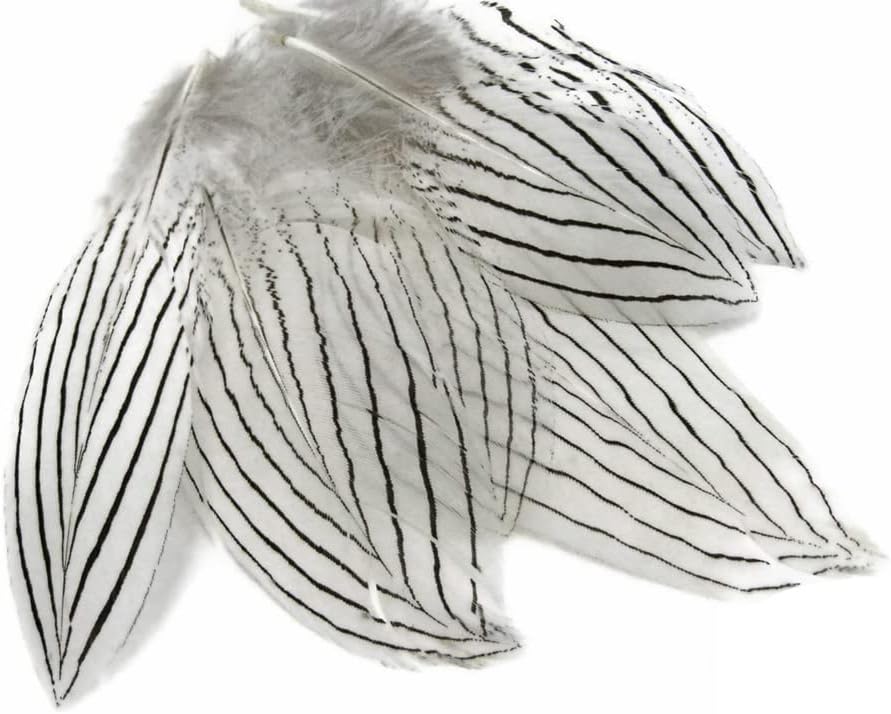 6 Pieces - Large Natural White Silver Pheasant Barred Plumage Feathers