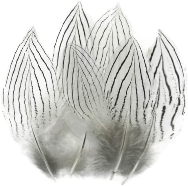 6 Pieces - Large Natural White Silver Pheasant Barred Plumage Feathers