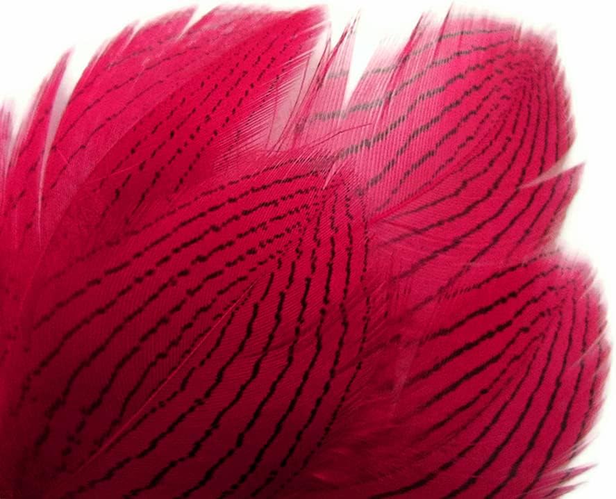 1 Dozen - Claret Silver Pheasant Feathers