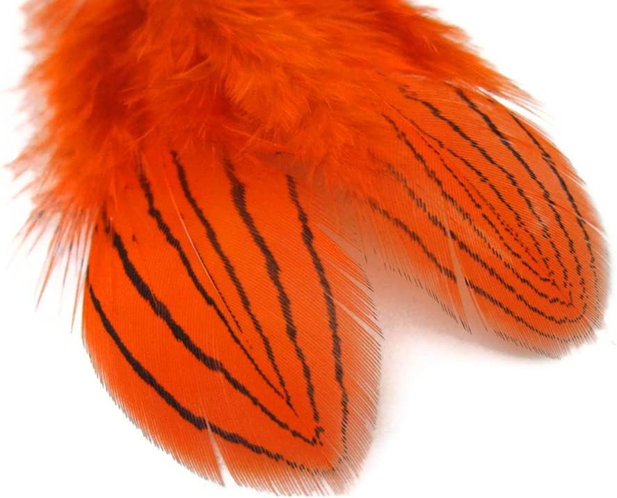 1 Dozen - Orange Silver Pheasant Plumage Feathers