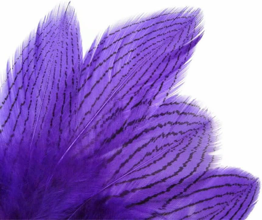 6 Pieces - Large Purple Silver Pheasant Barred Plumage Feathers