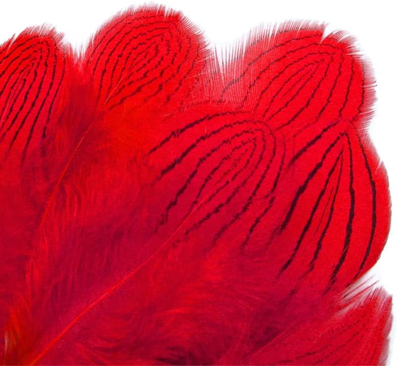 1 Dozen - Red Silver Pheasant Plumage Feathers