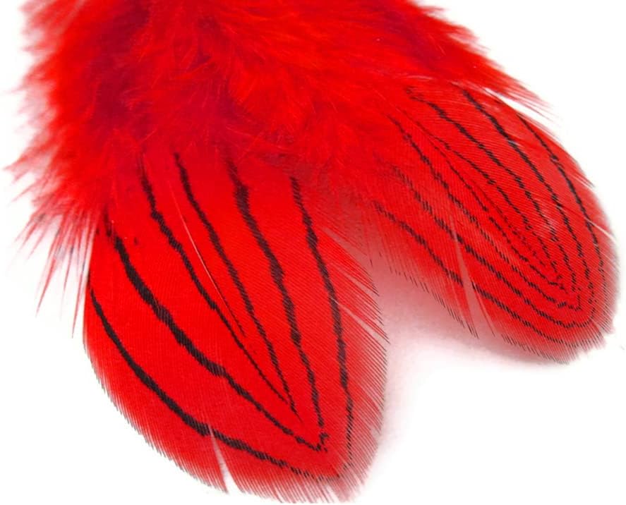1 Dozen - Red Silver Pheasant Plumage Feathers