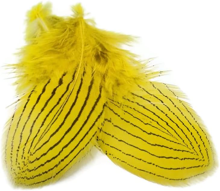 1 Dozen - Yellow Silver Pheasant Plumage Feathers