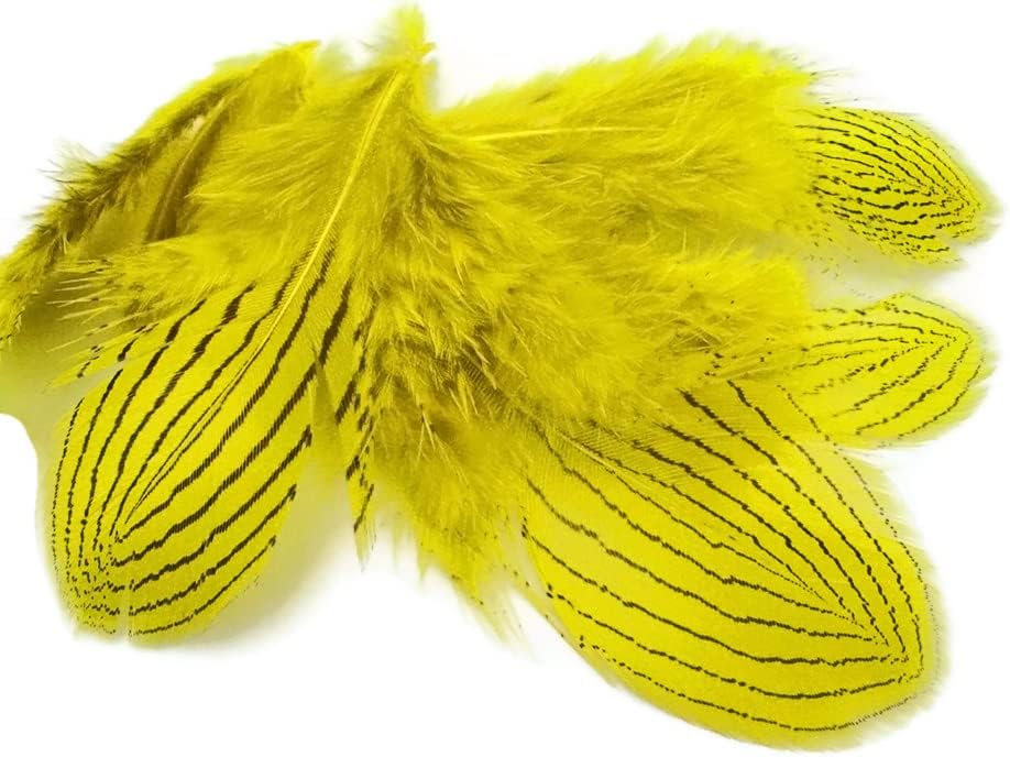 1 Dozen - Yellow Silver Pheasant Plumage Feathers