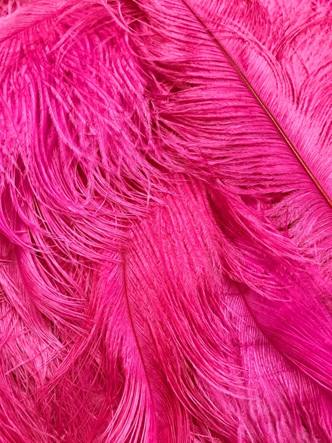 10 Pieces - 8-10" Hot Pink Ostrich Dyed Drabs Feathers