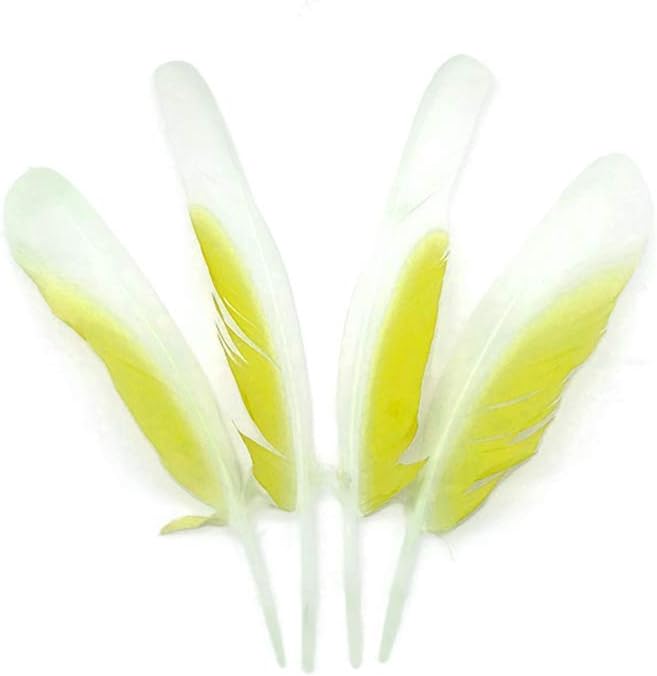 4 Pieces - White And Yellow Sulphur-Crested Cockatoo Wing Feather -Rare-