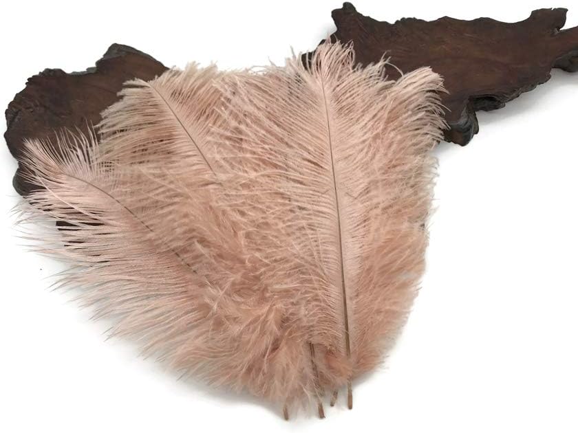10 Pieces - 19-24" Champagne Ostrich Dyed Drabs Body Feathers