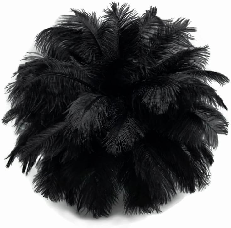 10 Pieces - 14-17"  Black Ostrich Dyed Drab Body Feathers