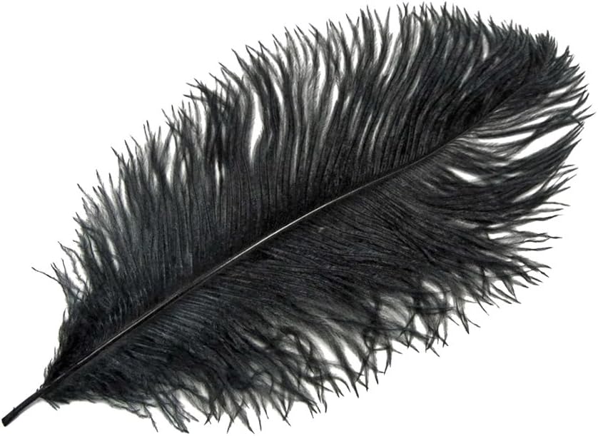 10 Pieces - 14-17"  Black Ostrich Dyed Drab Body Feathers