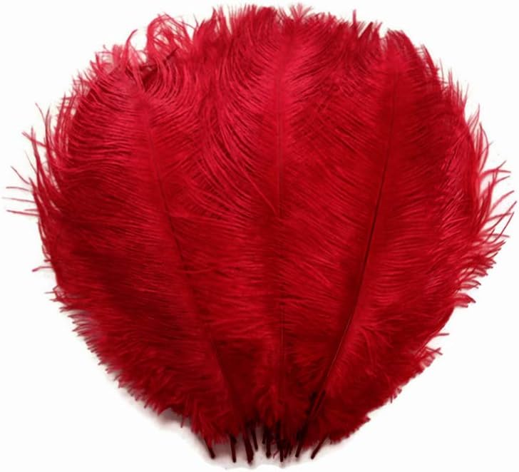 10 Pieces - 6-8" Red Ostrich Dyed Drabs Body Feathers
