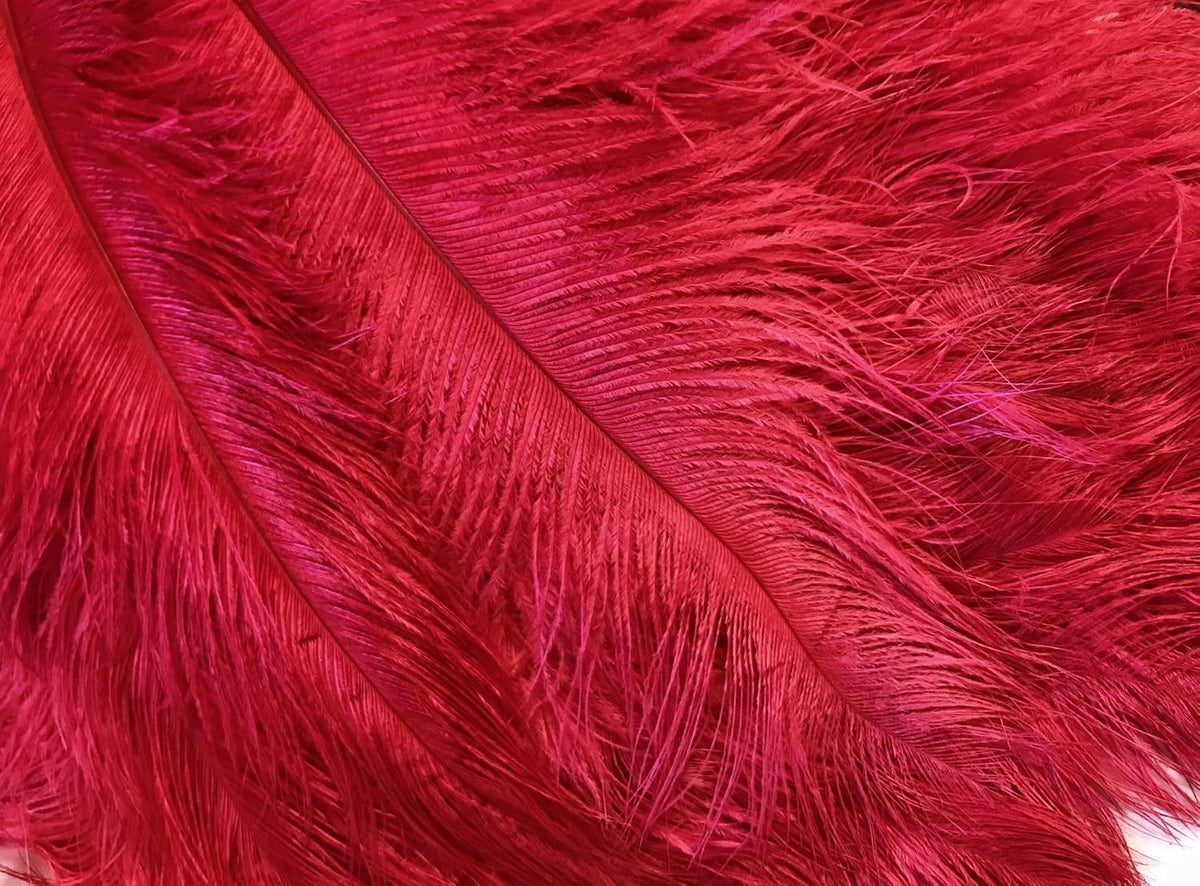 10 Pieces - 6-8" Red Ostrich Dyed Drabs Body Feathers