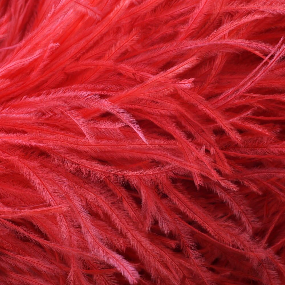 10 Pieces - 6-8" Red Ostrich Dyed Drabs Body Feathers