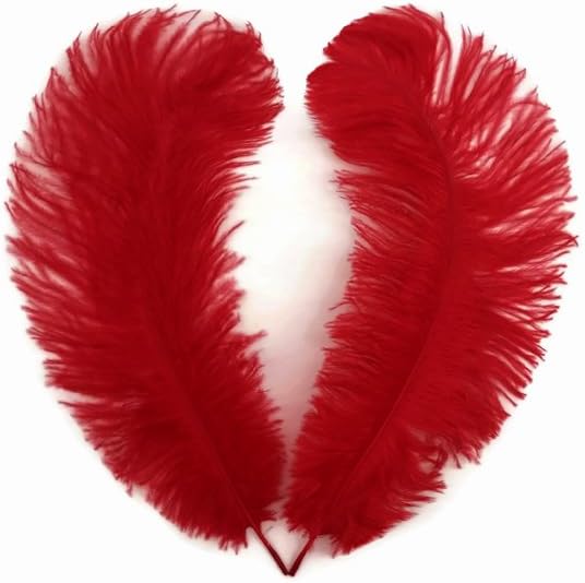 10 Pieces - 6-8" Red Ostrich Dyed Drabs Body Feathers