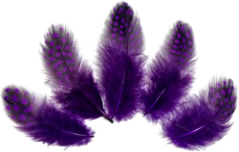 10 Pieces - Dyed Purple Polka Dot Guinea Fowl Wing Quill Feathers