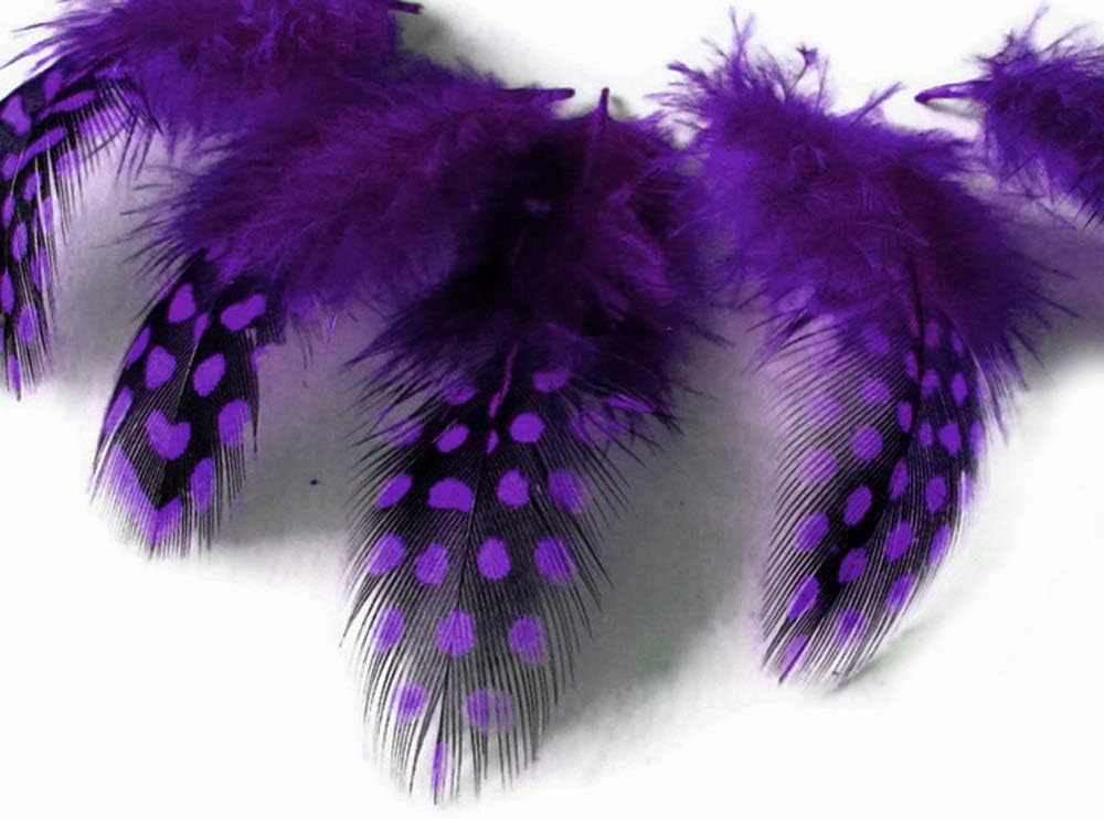 10 Pieces - Dyed Purple Polka Dot Guinea Fowl Wing Quill Feathers
