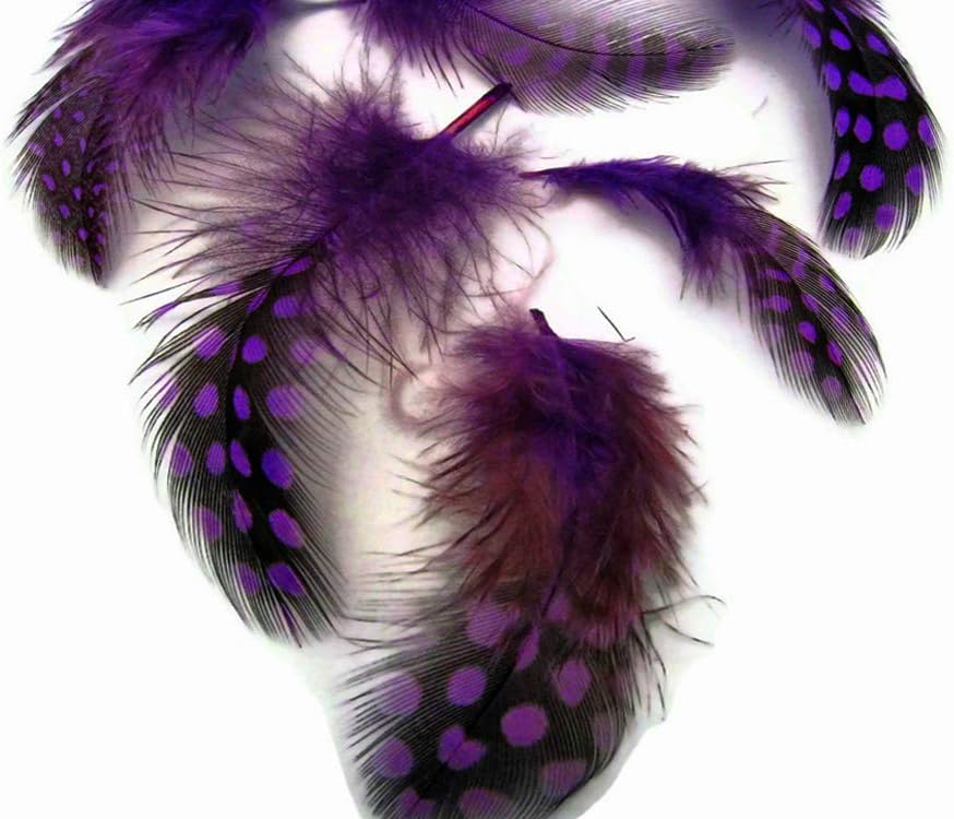 10 Pieces - Dyed Purple Polka Dot Guinea Fowl Wing Quill Feathers
