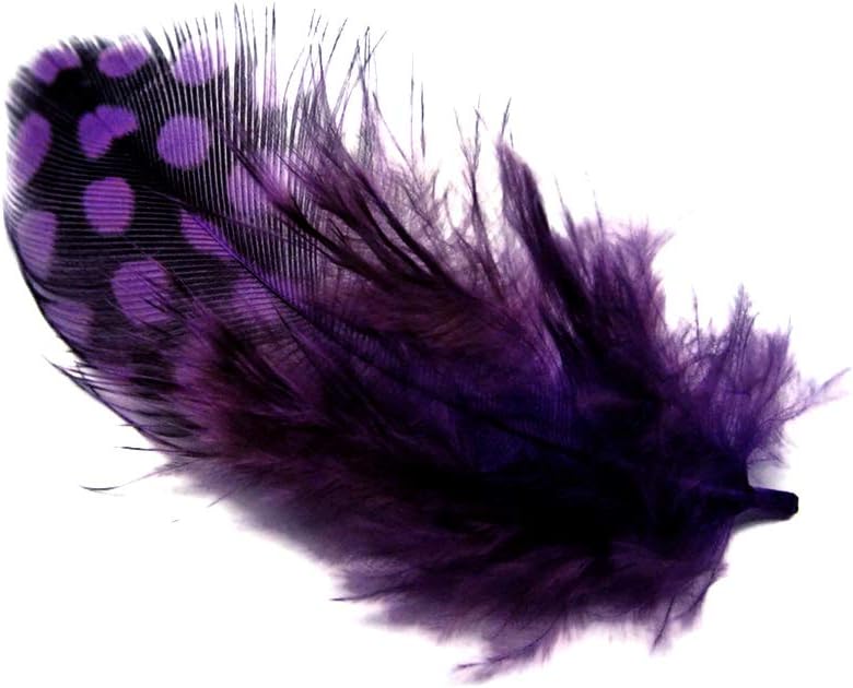 10 Pieces - Dyed Purple Polka Dot Guinea Fowl Wing Quill Feathers