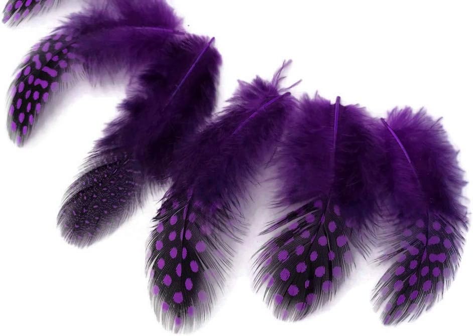 10 Pieces - Dyed Purple Polka Dot Guinea Fowl Wing Quill Feathers