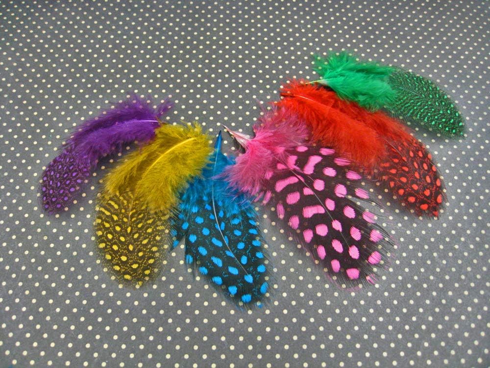 10 Pieces - Dyed Purple Polka Dot Guinea Fowl Wing Quill Feathers