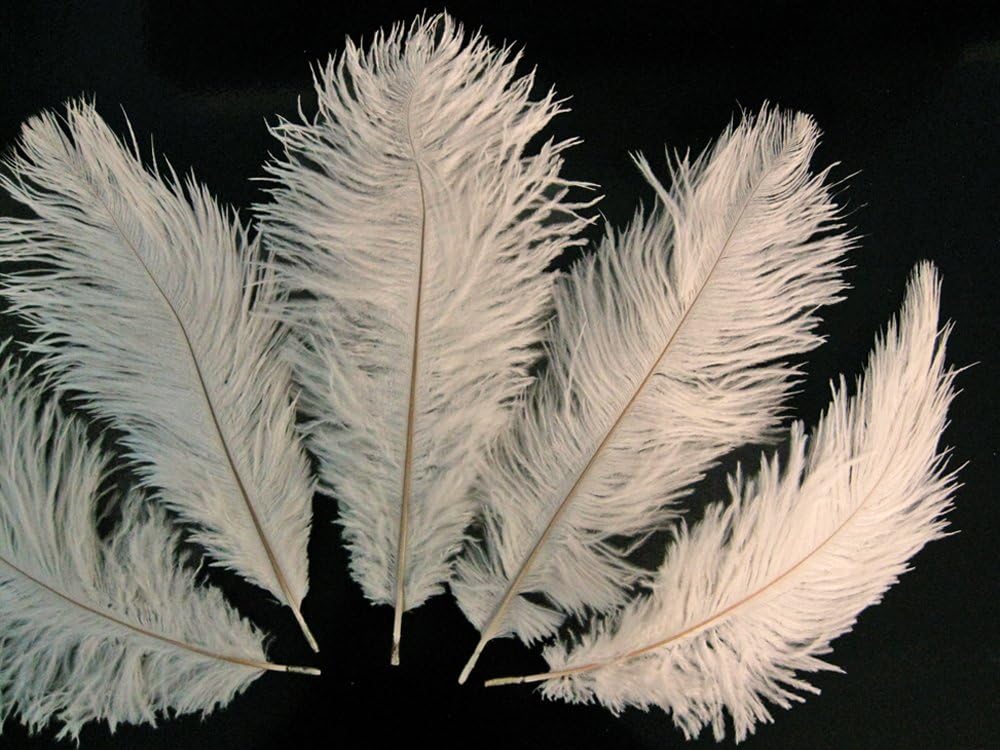 10 Pieces - 19-24" Off White Ostrich Dyed Drabs Body Feathers