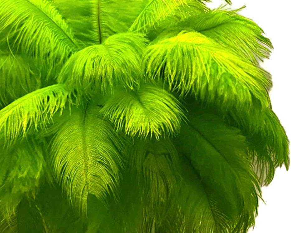 10 Pieces - 11-13" Lime Green Bleached & Dyed Ostrich Drabs Body Feathers