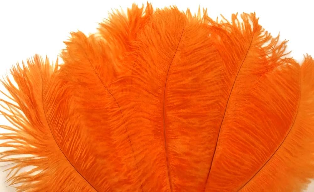 10 Pieces - 8-10" Orange Ostrich Drabs Feathers
