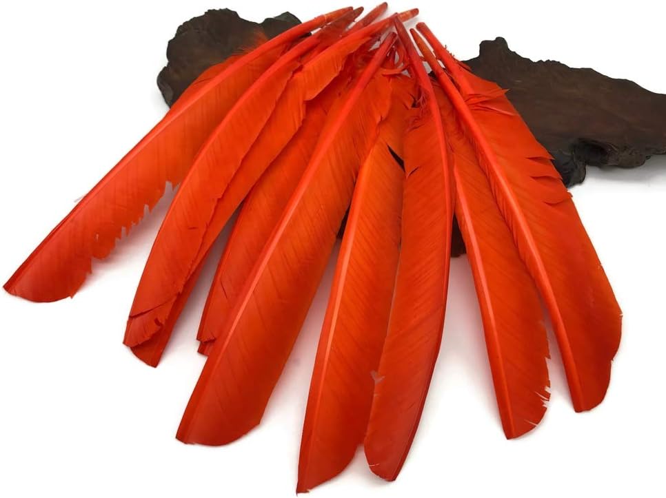 6 Pieces - Orange Turkey Pointers Primary Wing Quill Large Feathers