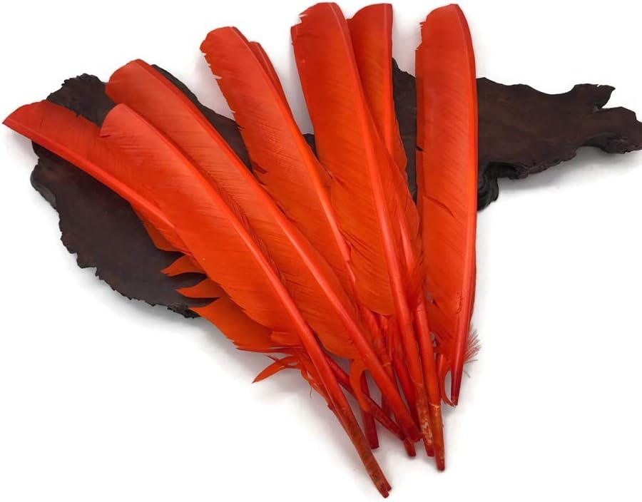6 Pieces - Orange Turkey Pointers Primary Wing Quill Large Feathers