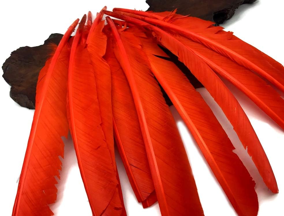 6 Pieces - Orange Turkey Pointers Primary Wing Quill Large Feathers