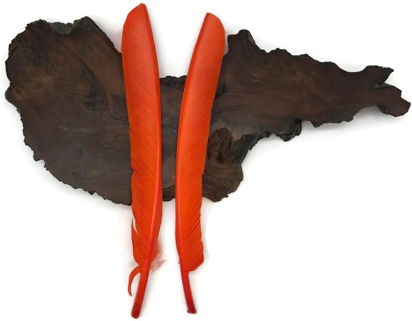 6 Pieces - Orange Turkey Pointers Primary Wing Quill Large Feathers