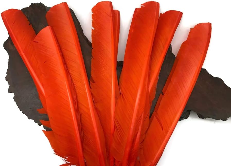 6 Pieces - Orange Turkey Pointers Primary Wing Quill Large Feathers