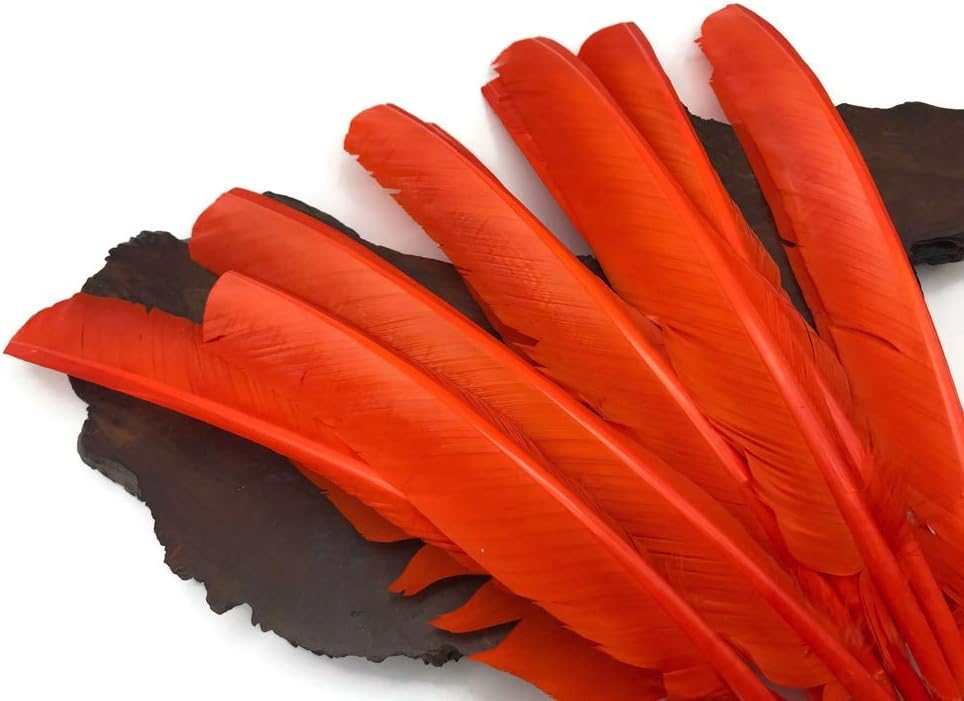 6 Pieces - Orange Turkey Pointers Primary Wing Quill Large Feathers