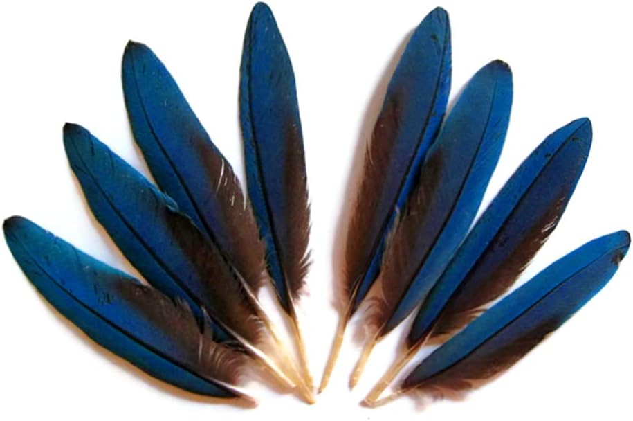 4 Pieces - Small Natural Blue Scarlet Macaw Wing Rare Feathers