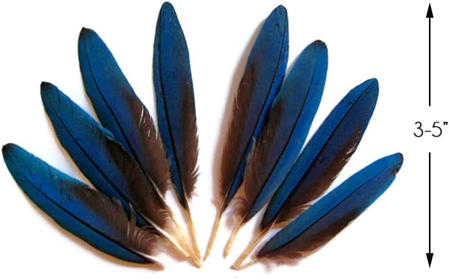 4 Pieces - Small Natural Blue Scarlet Macaw Wing Rare Feathers