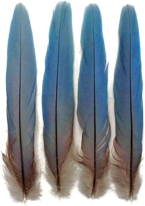 4 Pieces - Natural Blue Covert Wing Scarlet Macaw Rare Feathers