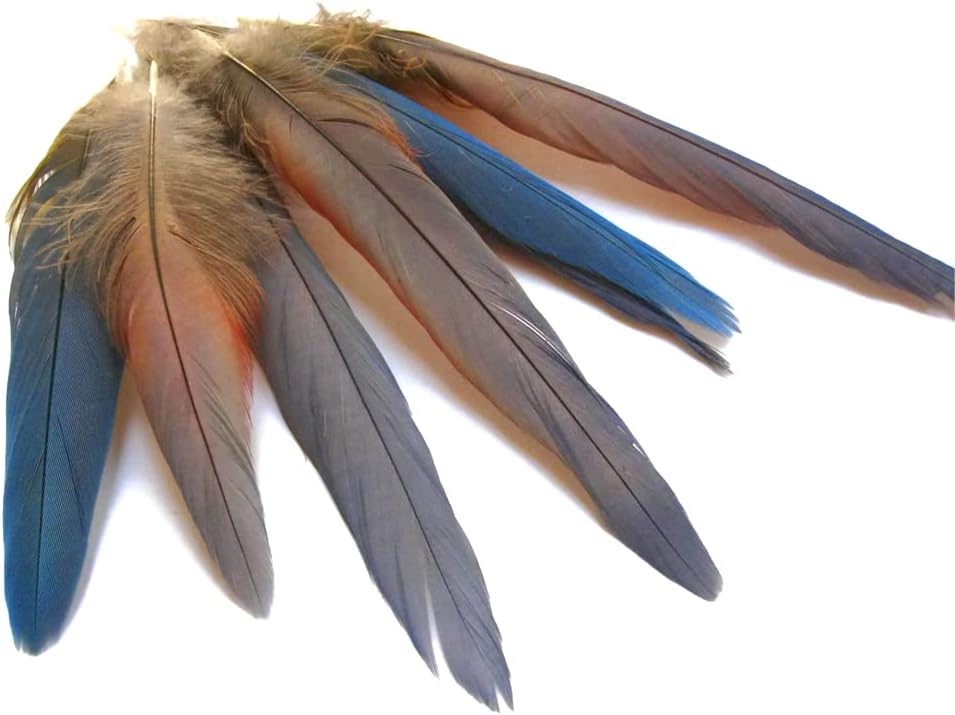4 Pieces - Natural Blue Covert Wing Scarlet Macaw Rare Feathers