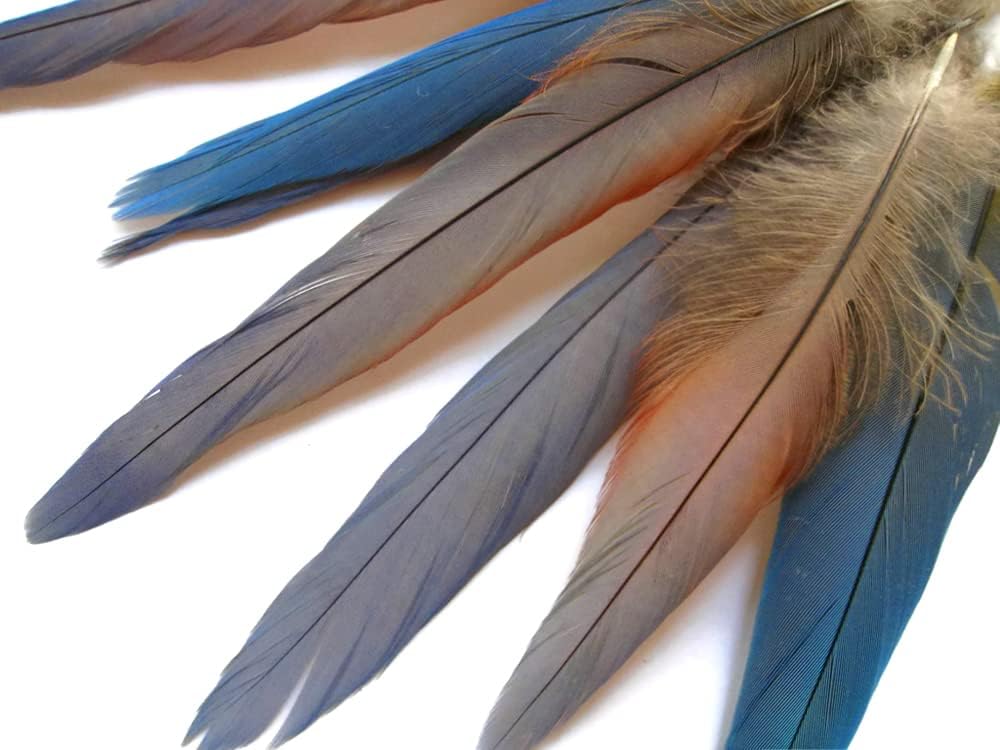 4 Pieces - Small Natural Blue Covert Wing Scarlet Macaw Rare Feathers