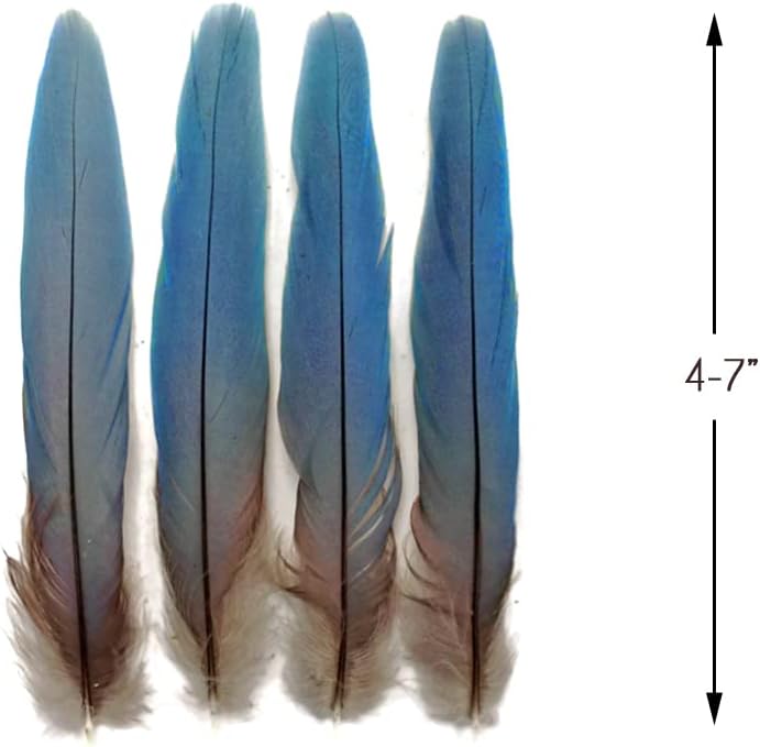 4 Pieces - Small Natural Blue Covert Wing Scarlet Macaw Rare Feathers