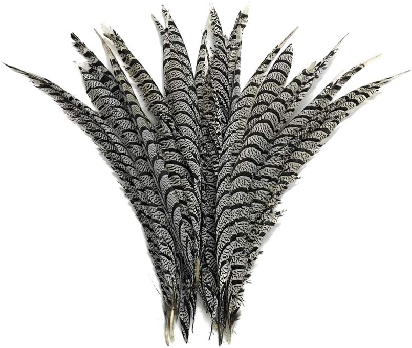 5 Pieces - 20-25" Natural Zebra Black And White Lady Amherst Pheasant Tail Super Long Feathers