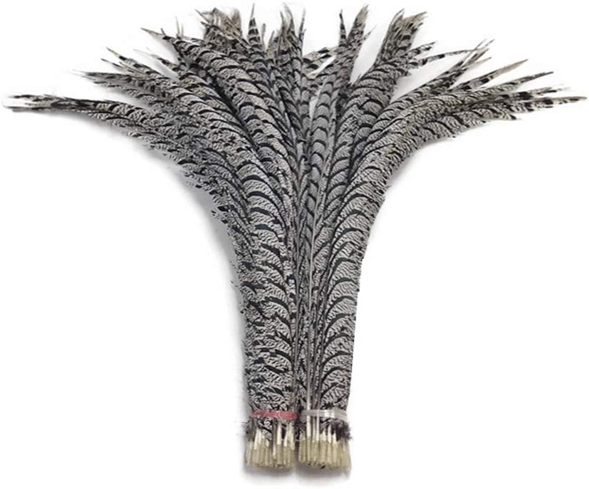 5 Pieces - 20-25" Natural Zebra Black And White Lady Amherst Pheasant Tail Super Long Feathers