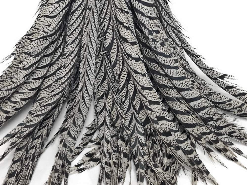 5 Pieces - 20-25" Natural Zebra Black And White Lady Amherst Pheasant Tail Super Long Feathers