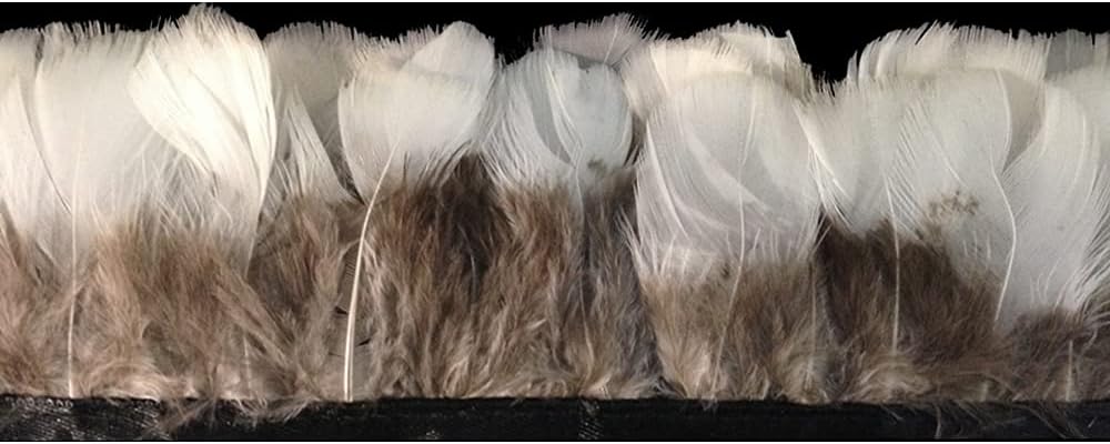 1 Yard - White Round Lady Amherst Pheasant Plumage Feather Trim
