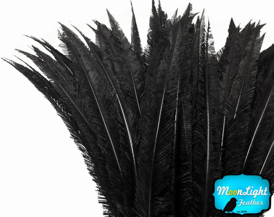 5 Pieces - Black Long Ostrich Nandu Trimmed Feathers