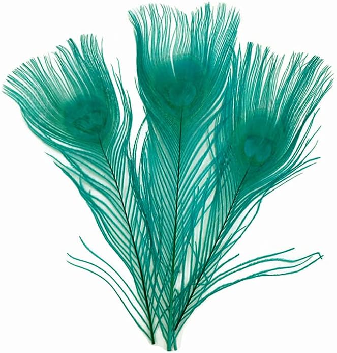 5 Pieces – Peacock Green Bleached & Dyed Peacock Tail Eye Feathers 10-12” Long