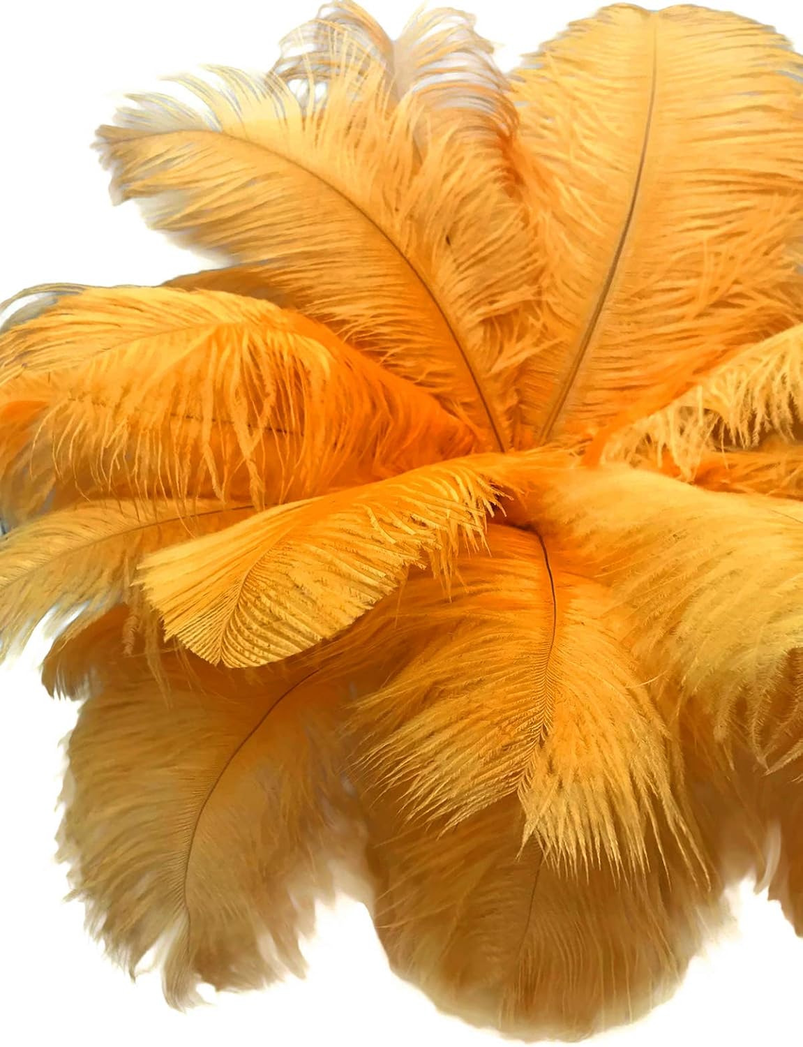 1/2 lb. - 14-17" Golden Yellow Ostrich Large Body Drab Wholesale Feathers (Bulk)