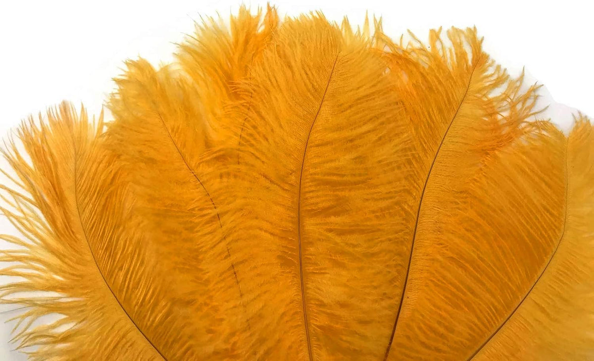 1/2 lb. - 14-17" Golden Yellow Ostrich Large Body Drab Wholesale Feathers (Bulk)